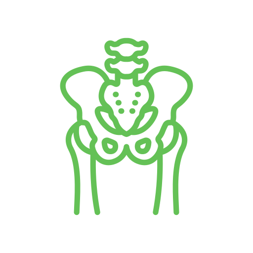 cervical bone icon