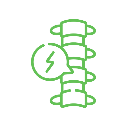 Spine Icon